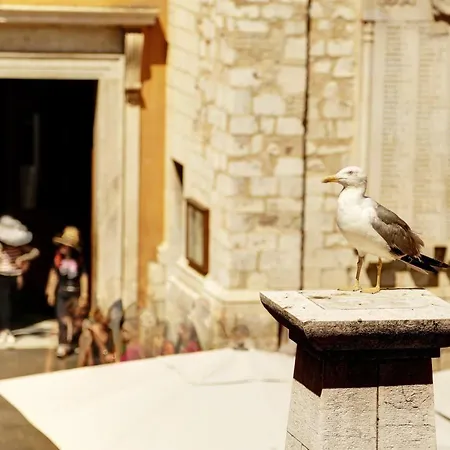 Fontaine - Charming Provencal, Clim, 6 Guest, Old Town Nizza